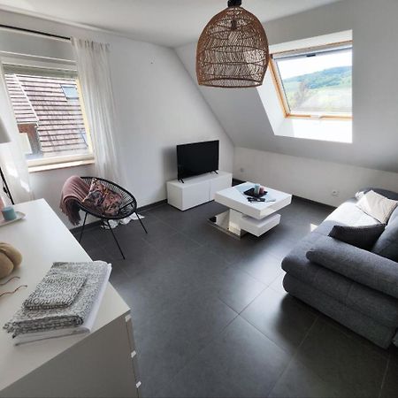 Bel Appartement En Centre Alsace Kintzheim Exterior photo
