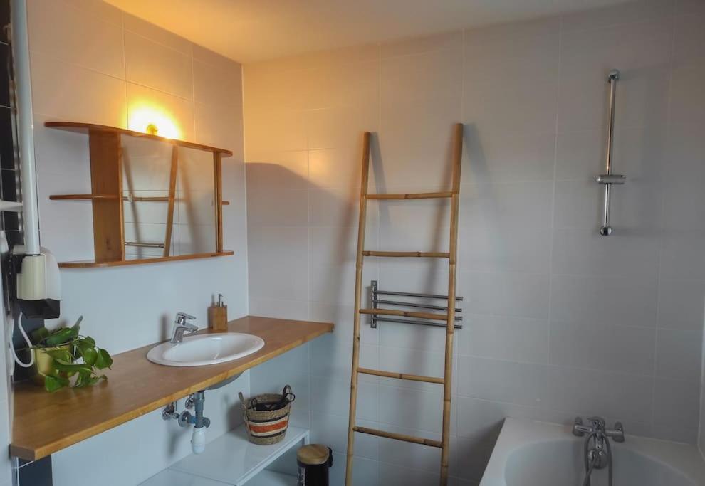 Bel Appartement En Centre Alsace Kintzheim Exterior photo