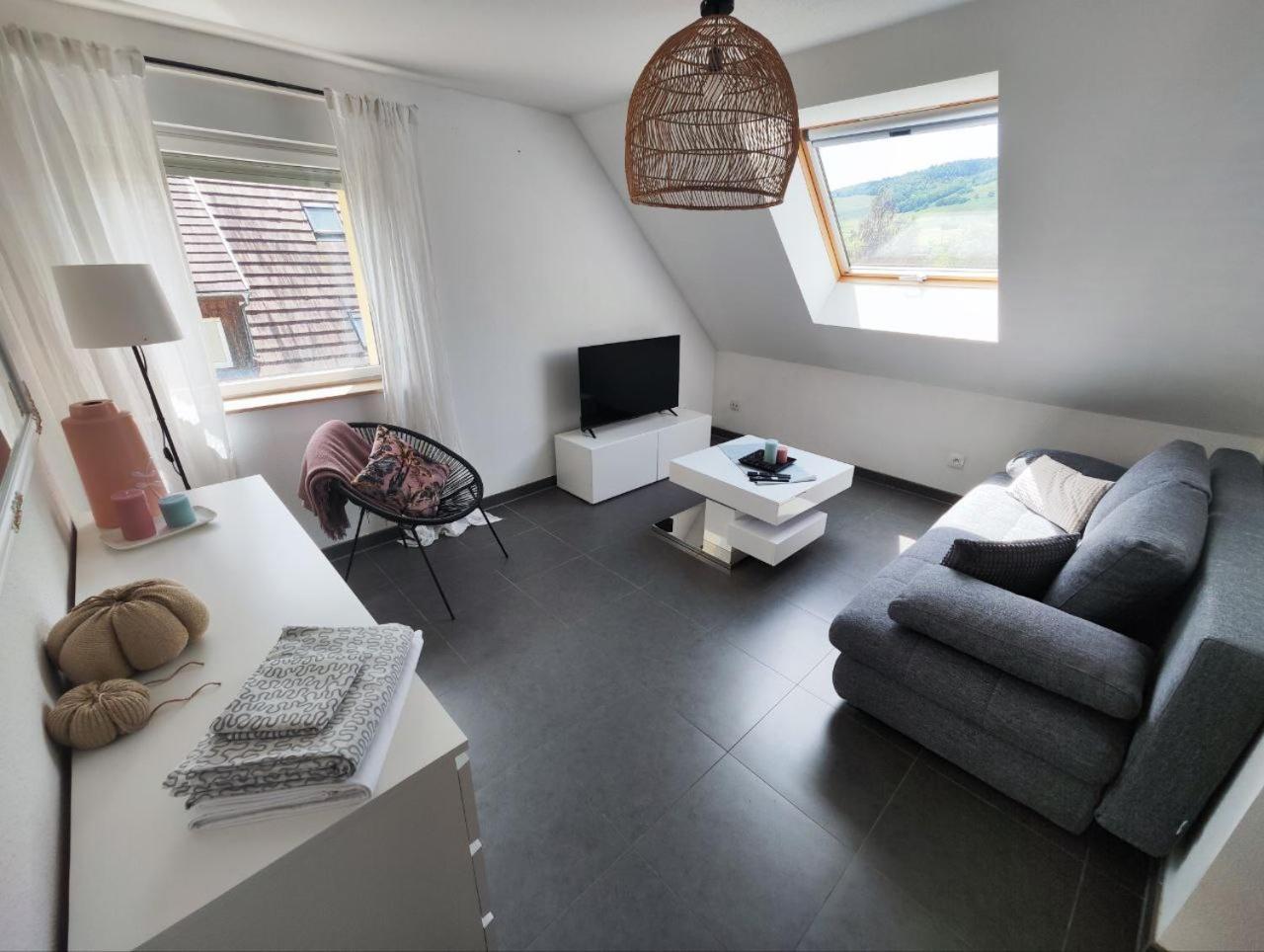 Bel Appartement En Centre Alsace Kintzheim Exterior photo